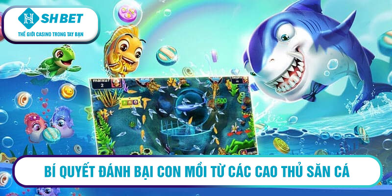 Bí quyết đánh bại con mồi từ các cao thủ săn cá