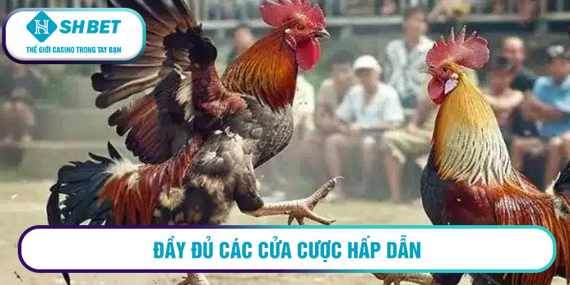 Đầy đủ các cửa cược hấp dẫn